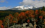 Der Santa Fee Baldy - höchster Berg im Santa Fe County